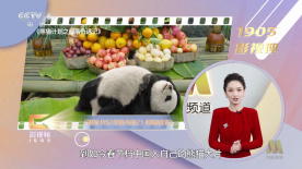 2022最新a精品视频在线观看